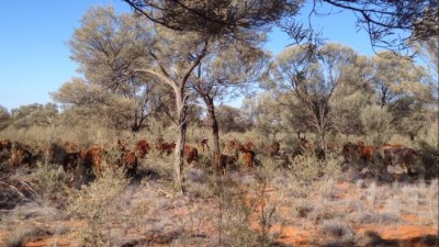 Quilpie Aggregation QLD