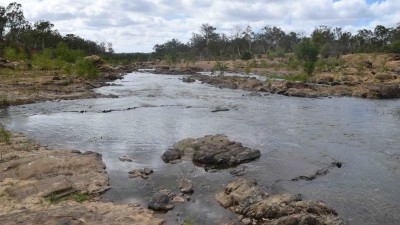 Tarroni QLD