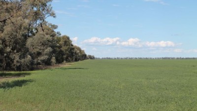 Boorameel QLD