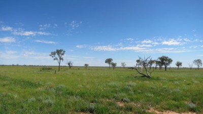 Camden QLD