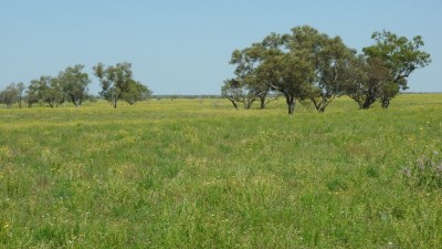 Manningham QLD