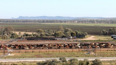 Vandyke QLD