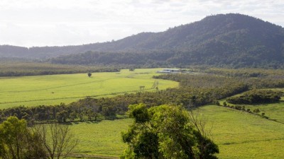 Wyvuri QLD