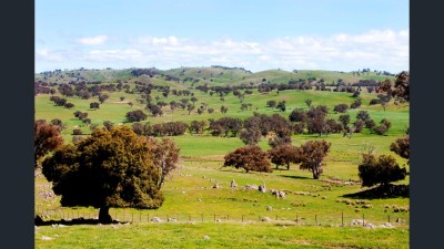 Bogolara NSW