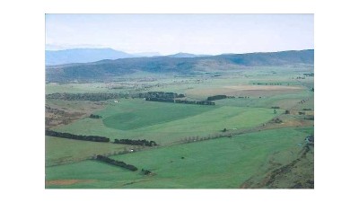 Williamwood TAS