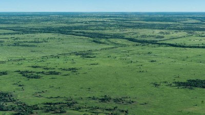 Willowie QLD