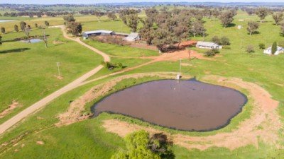 Catombal & Peedamulla NSW