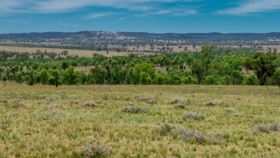 Barongarook QLD