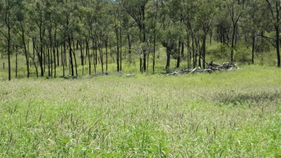 Billaboo QLD