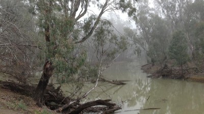 Bookit Island NSW