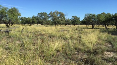 Boonery NSW
