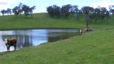 Heatherdene NSW
