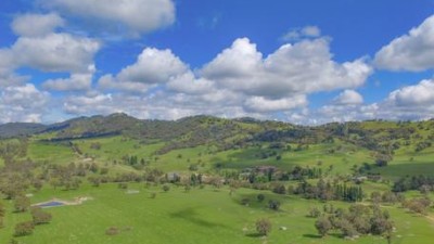 Mount View Station & Wildcroft NSW