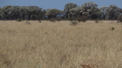 Stratavon QLD