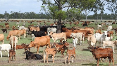 Balmoral QLD