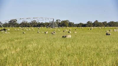 Frances Farm Portfolio VIC & SA