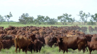 Katandra QLD