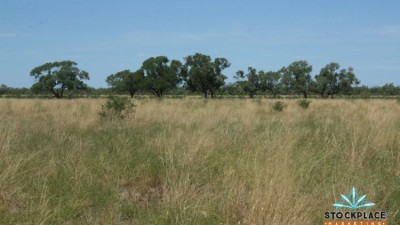 Ludgate QLD