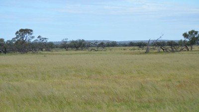 Mount Kew & Box Valley NSW