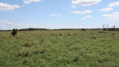 Murraway QLD