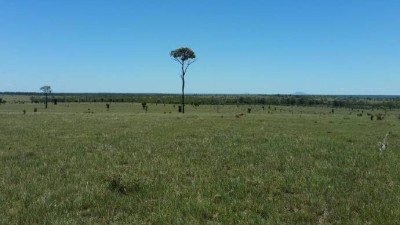 New Merivale QLD