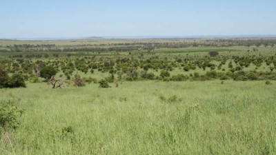 Old Delargum QLD