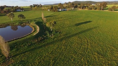 Parkwood NSW