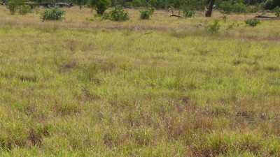 Wahcumba QLD