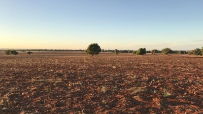 Tara Additional NSW
