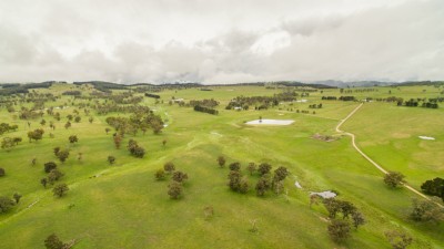 Enfield North NSW
