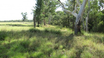 Glenba QLD