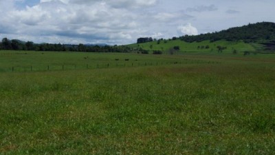 Hideaway Stud QLD