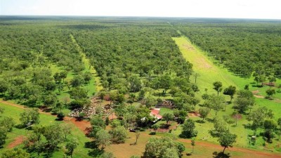 Lakefield Station NT