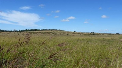 Box Flat QLD