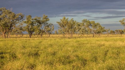 Clover Downs QLD
