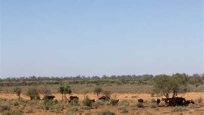 Martins Well Station SA