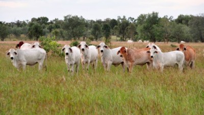 Namoi QLD