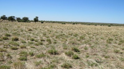Raheen NSW