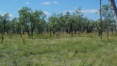 Rocky Downs QLD
