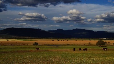 Wonga Plains NSW