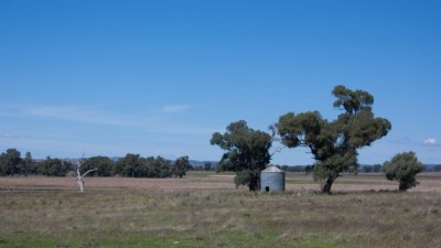 Avymore NSW