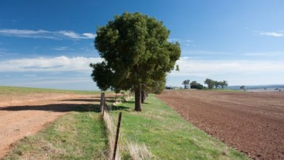 Park View East NSW