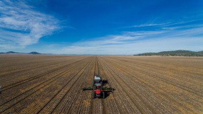 Coladdi NSW