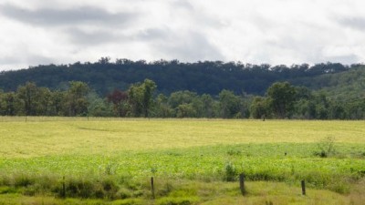 Hillview & Middle Farm NSW
