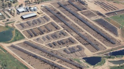 Maydan Feedlot QLD