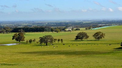 Barwon Heights VIC