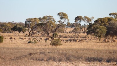 Bonton NSW