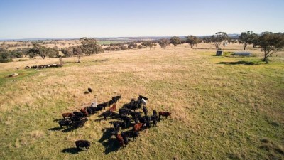 Dungarvon NSW