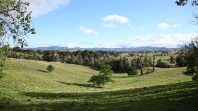 Kamureka NSW