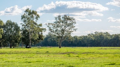 Carraman Station NSW